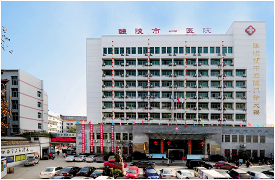 热烈庆祝湖南省醴陵中医院项目顺利竣工